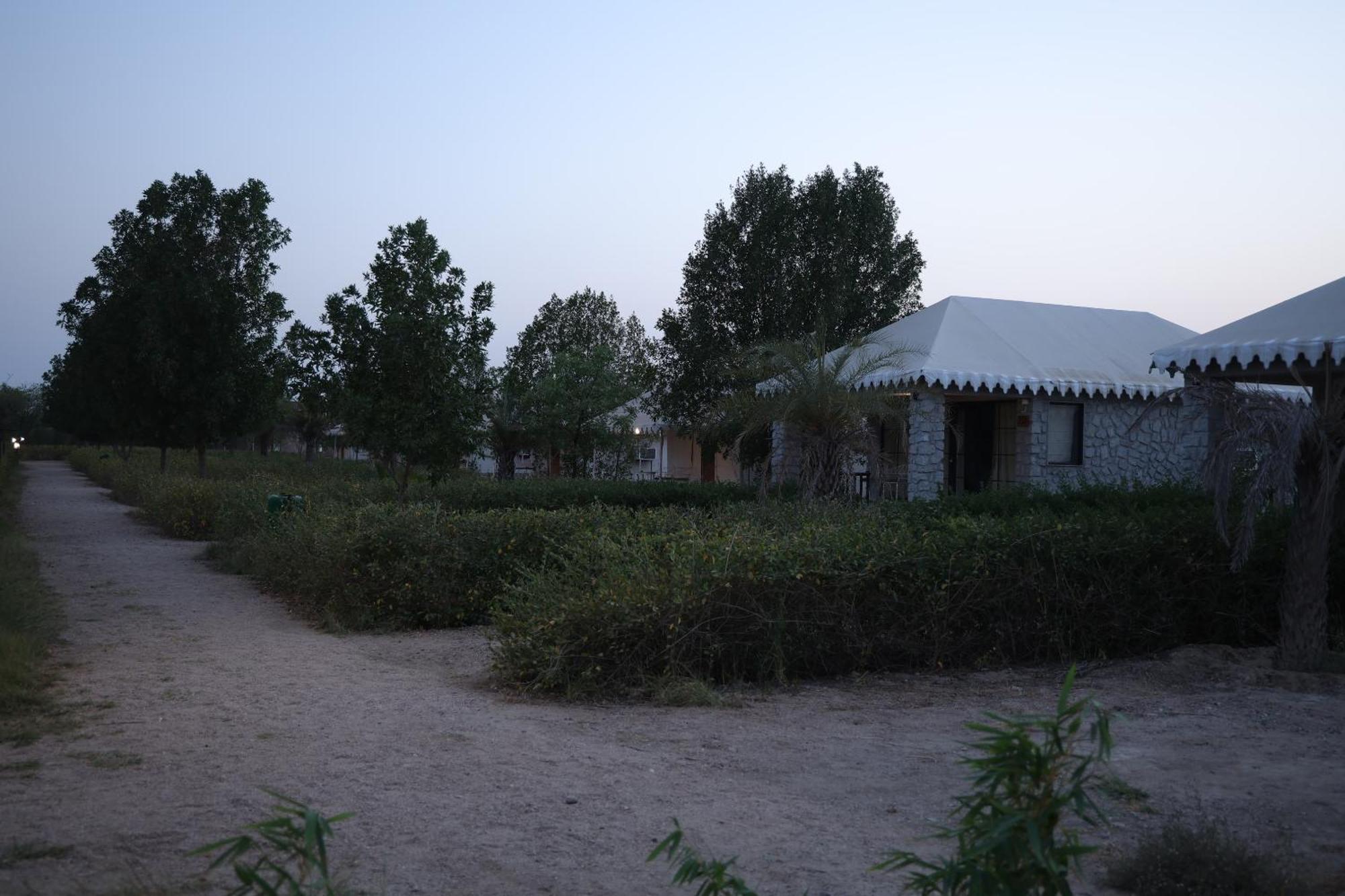 Отель Jawai Bera Leopard Camp Экстерьер фото