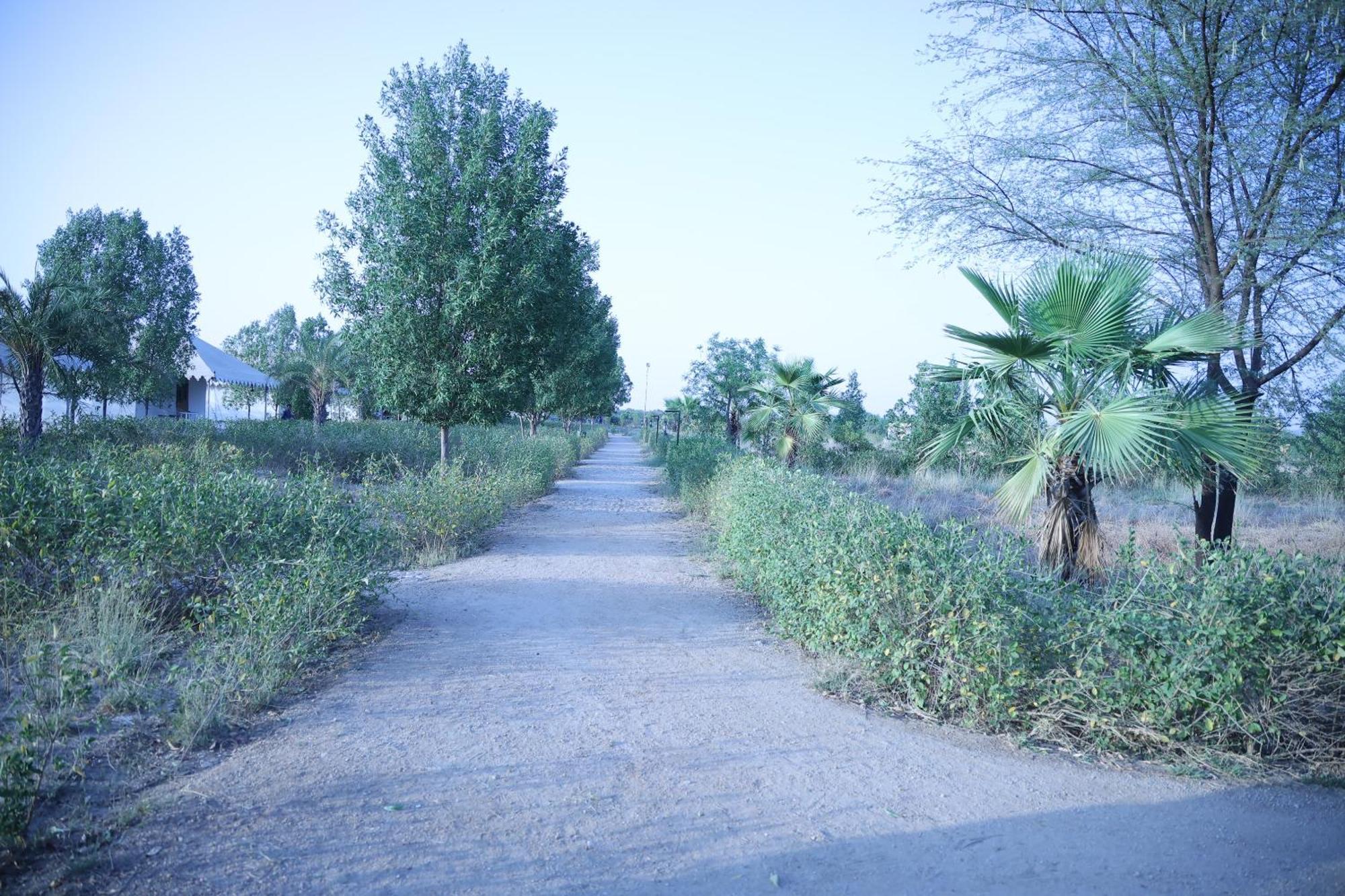 Отель Jawai Bera Leopard Camp Экстерьер фото