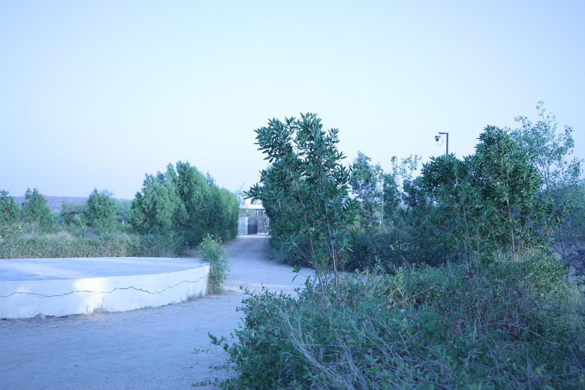 Отель Jawai Bera Leopard Camp Экстерьер фото